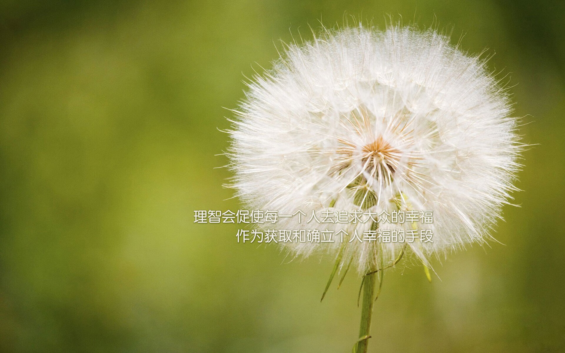 开云网页版登录入口-快船主场逆转！，快船主场叫啥