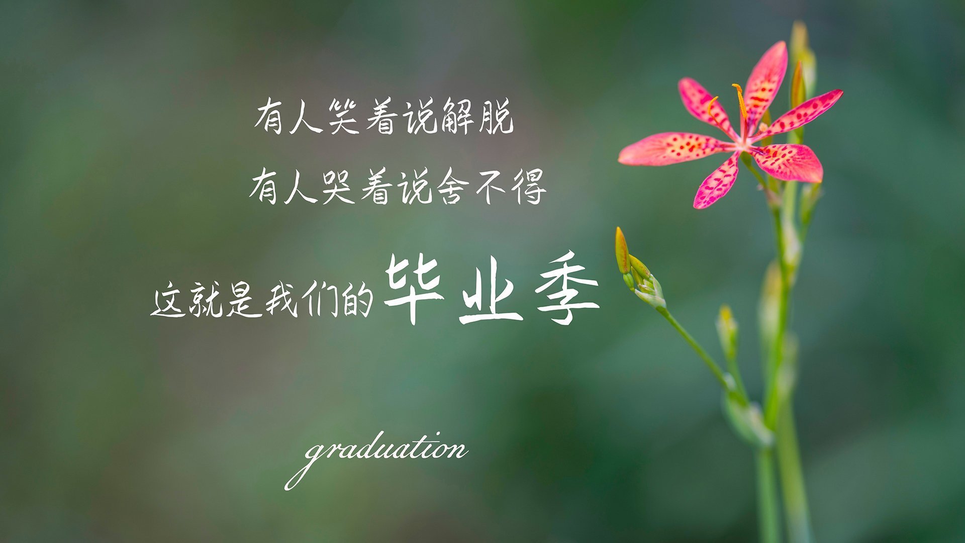 亚特兰大是否该在欧战投入更多资源，亚特兰大宣布