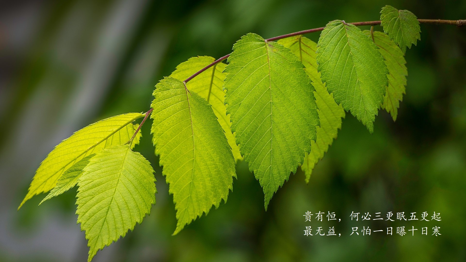 开云官网-汉堡球员集训备战，期待翻盘战胜对手，汉堡队最新比赛