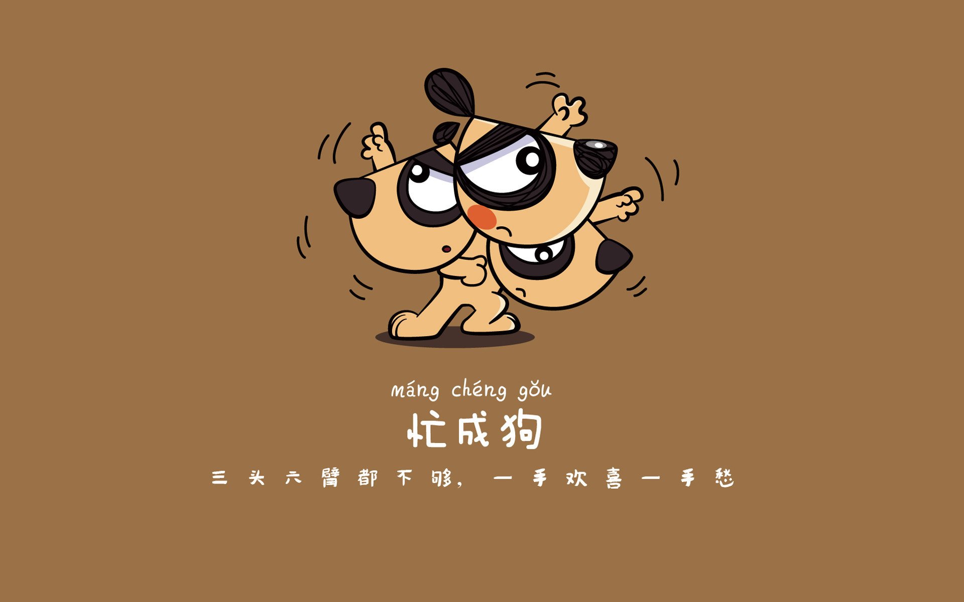精彩比赛即将开幕，球迷翘首期待，精彩足球赛
