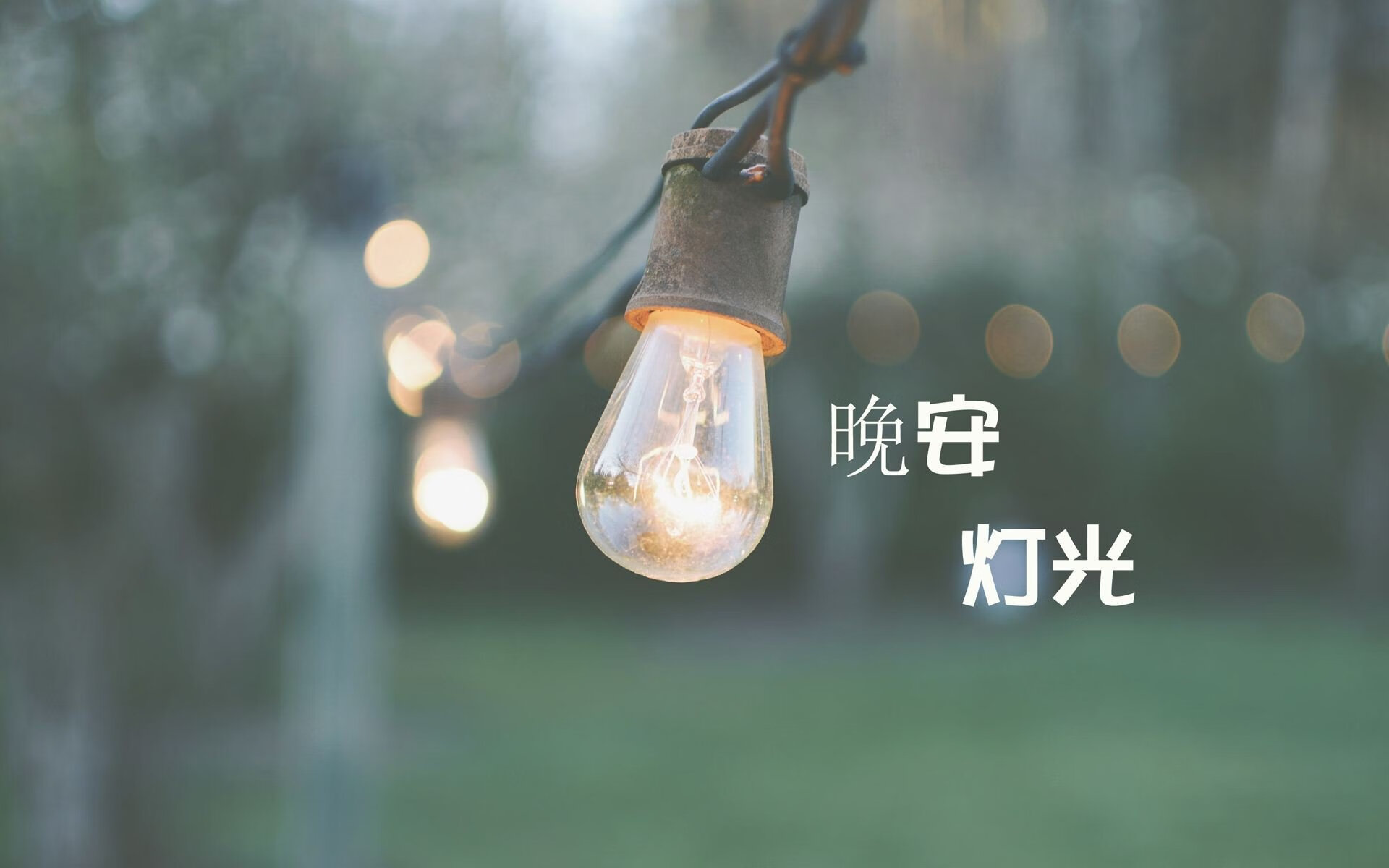 足球明星表现抢眼，引来球迷关注，足球明星科普