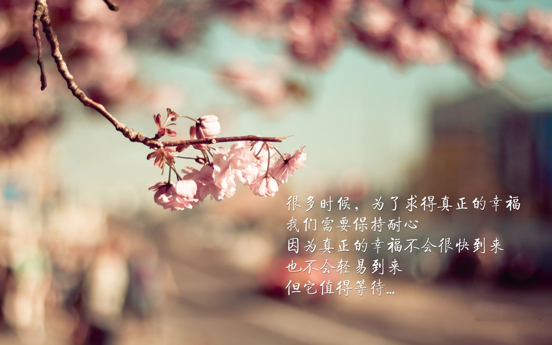 意甲球队利用人工智能辅助战术布置与对手分析，意甲助攻榜最新排名