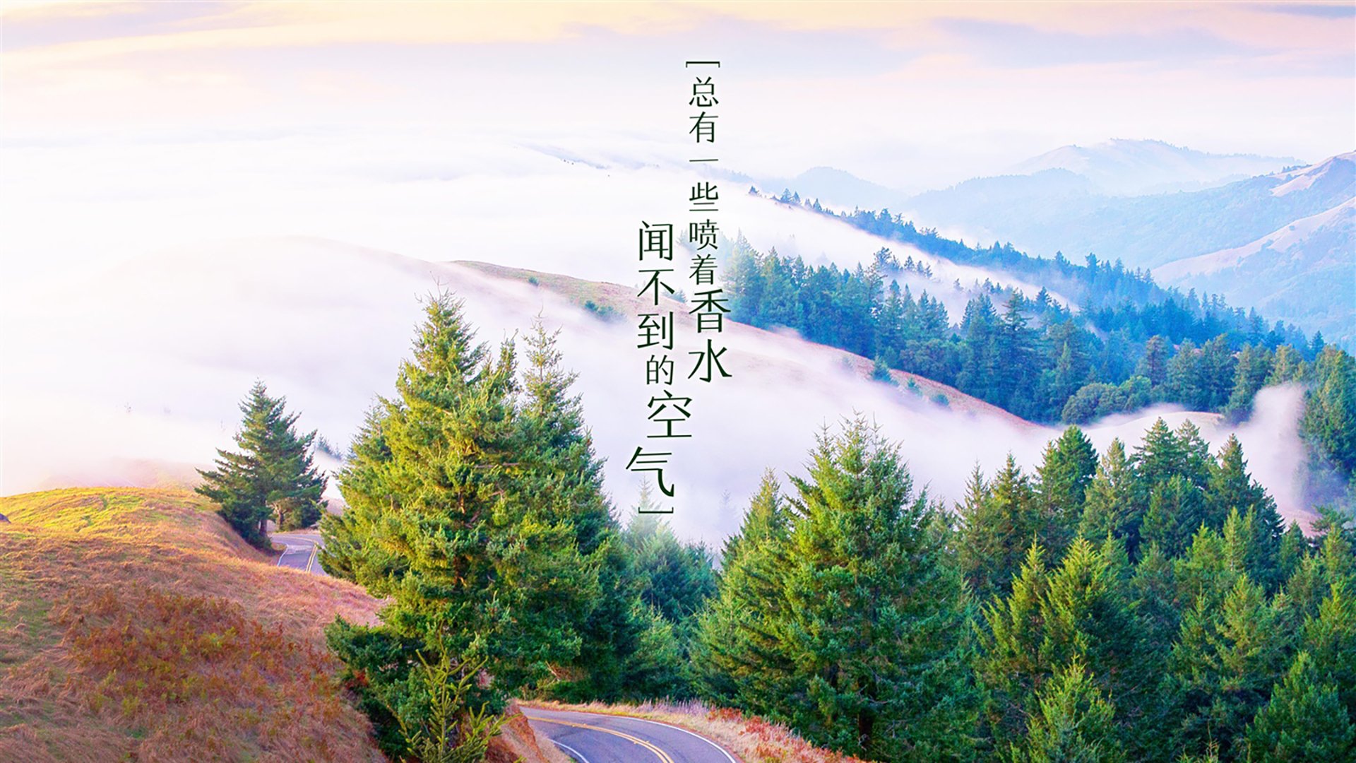 印度赛制揭秘：如何提升赛事观赏性与竞技性，印度举办过什么国际赛事