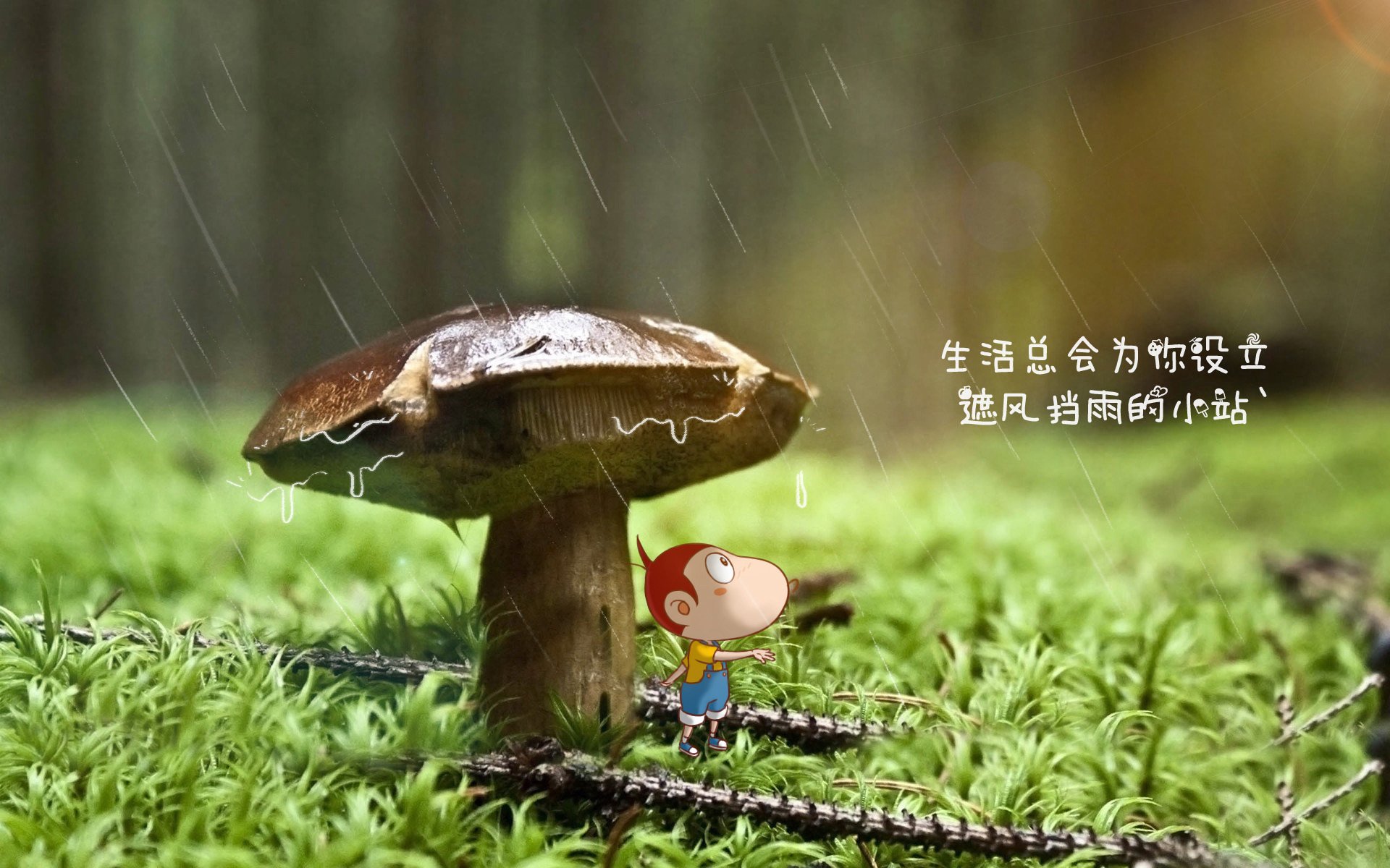 埃及队未来发展：如何在世界乒乓赛场上占据一席之地，埃及的乒乓球