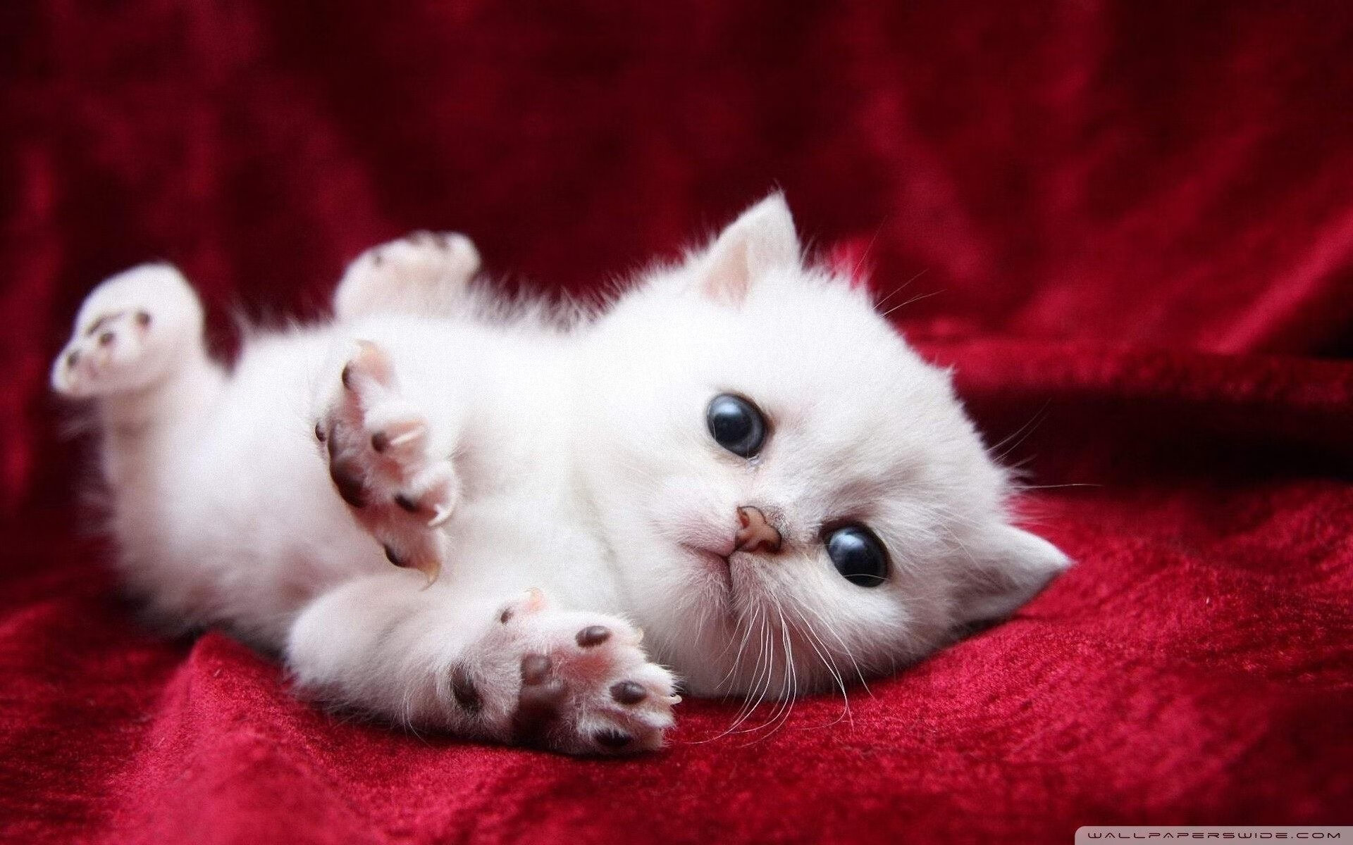 德甲战术新纪元:变化无限,令人期待!,德甲收官战