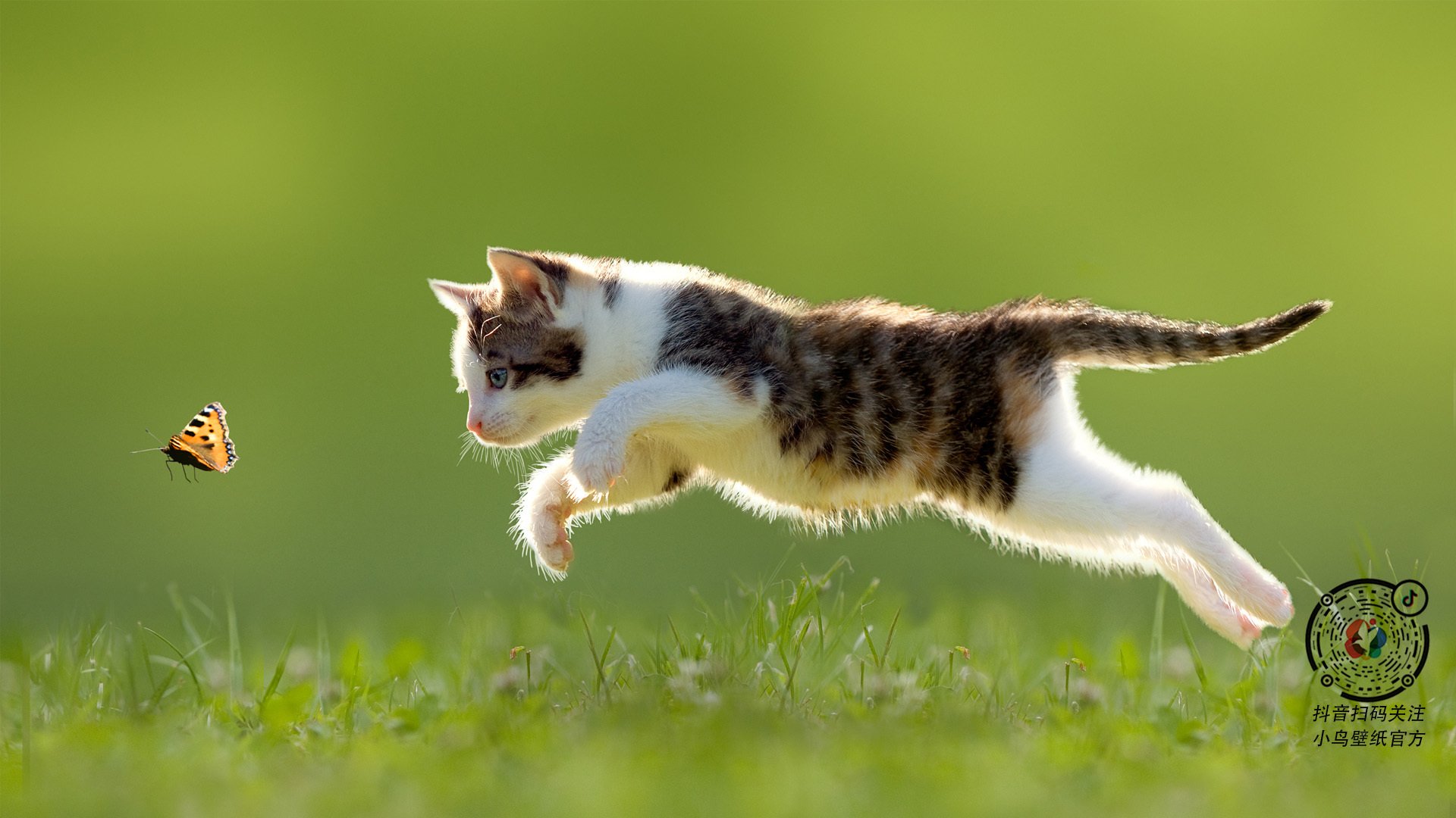 赛后热图分析揭示跑动距离变化与得失球之间存在强相关性,球员跑动距离数据