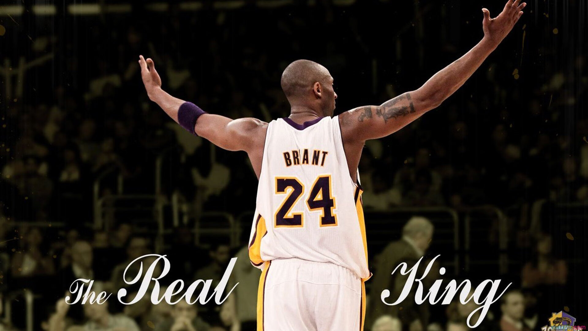 开云娱乐-_公牛中锋发威，球队迎来关键胜利_，公牛队中锋是谁